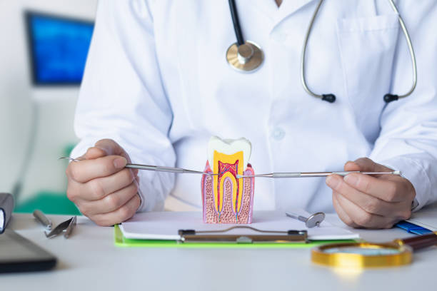 Best Emergency Tooth Extraction in Coal City, IL